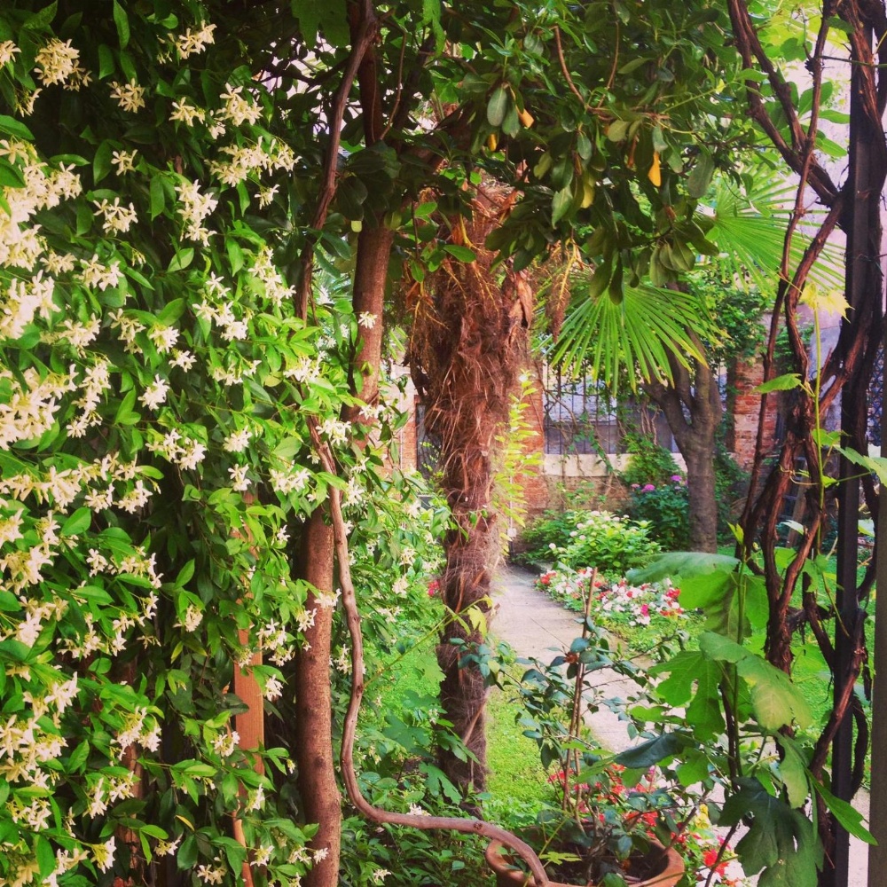 3749 Pontechiodo Main image